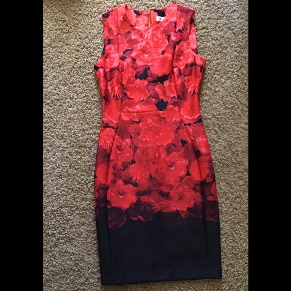 Red and navy floral Calvin Klein Dress